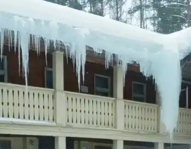 Русский лес - 81