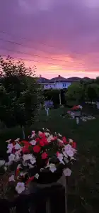 Синее небо - 0