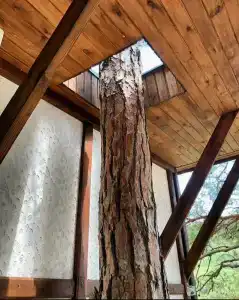 Гринвуд - 3