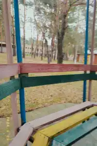 Сосновый бор - 31