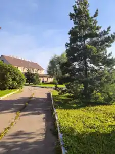 Зорина - 1
