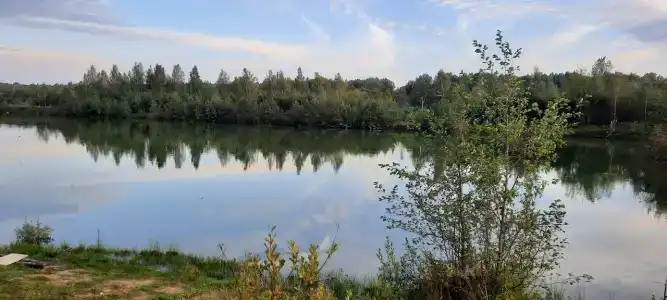 Сендега - 39
