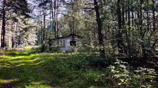 Волна - 50