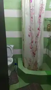 Магнолия - 4
