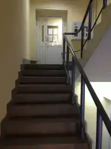 Спорт - 4