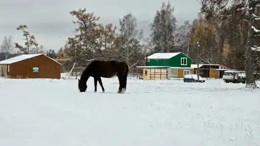 Пай-Тыт - 38