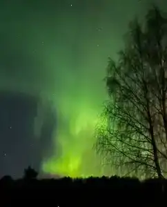 Лунный свет - 62