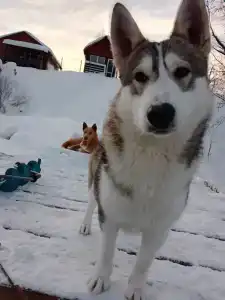 Утро на заводи - 46