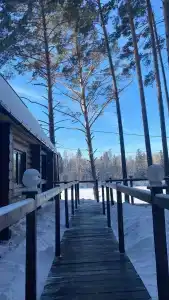 Солнечная заимка - 13