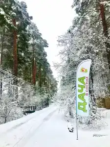 Дача в соснах - 21