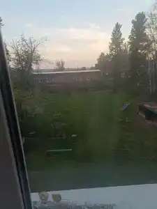 Гаузский - 25