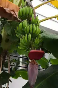 Club Sidar Apart - 16