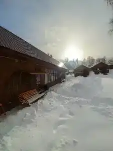 Сокол - 38