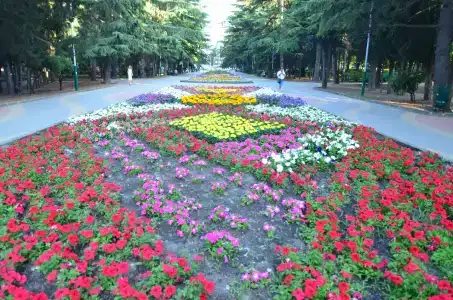 Натан - 1