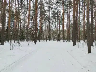 Баринова Роща - 32