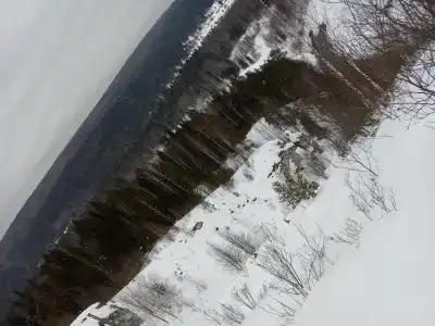 Усть-Койва - 22