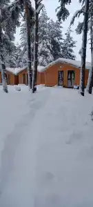 Горное эхо - 19