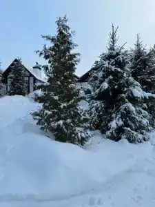 Медвежий угол - 3