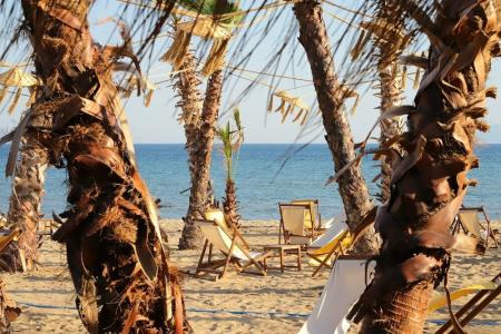 Ayvalık Sea Resort - 24