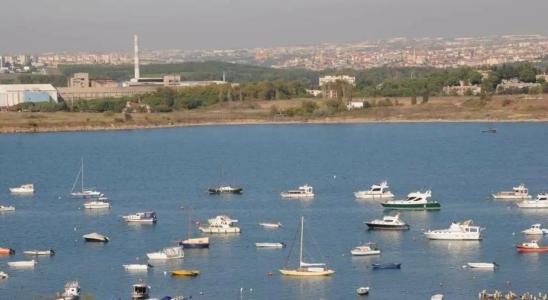 Paradise Island - 11