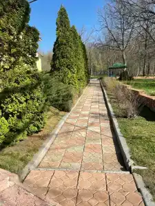 Вишневая поляна - 24