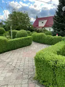 Уют - 19