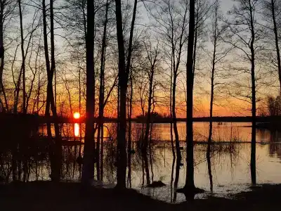 Родная Усадьба - 86