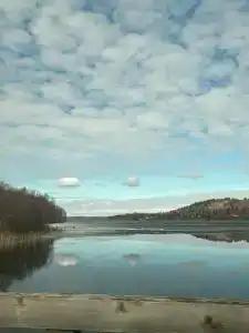 Лунный свет - 55