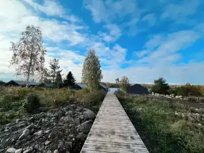 Лунный свет - 47