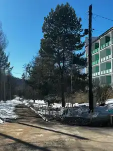 Байкальский Бор - 5