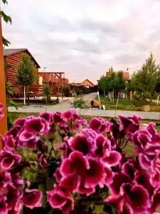 Релакс в Новом - 2