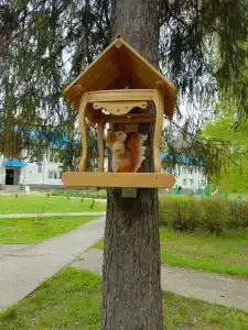 Городец - 15