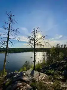 Karelia Love Glamping - 91