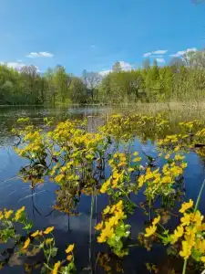 Селигерский плёс - 28