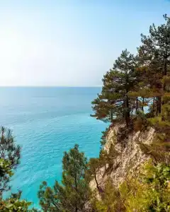 Бегом к нам! - 58