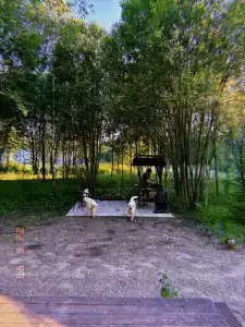 Парк Север - 14