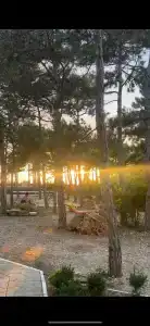 Песчаный берег - 39