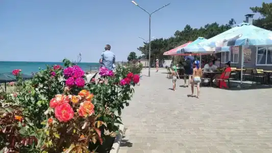 Дом друзей - 70