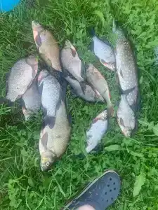 Гагарин Барн - 57