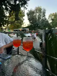 Булгаков - 38