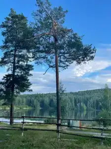 Межгорье - 28