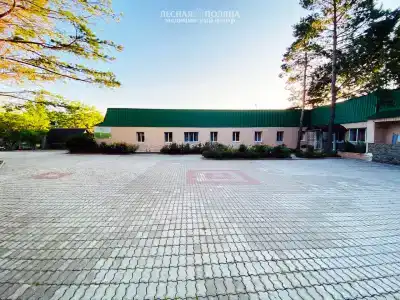 Лесная поляна - 6