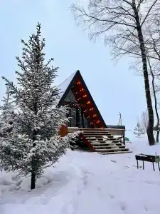 Ильинка лес - 24