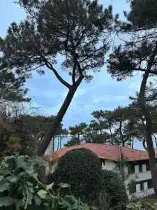 Mercure Istanbul West & Convention Center - 8