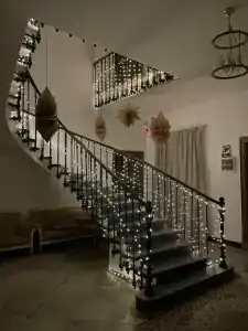 Хофмаршал - 21