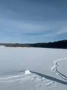Сосновка - 30