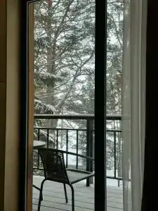 Чайка 1918 - 53