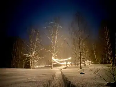 Алёшкино - 9