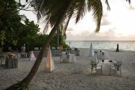 Biyadhoo Island Resort - 41
