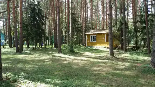 Волна - 99